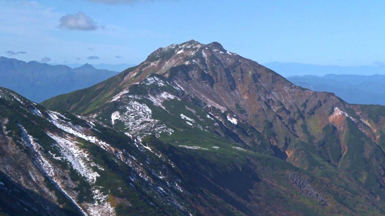 Wild Hokkaido!