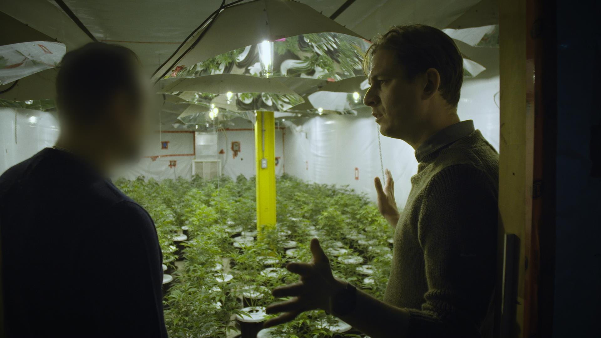 Фильм о выращивание конопли сколько марихуана держиться