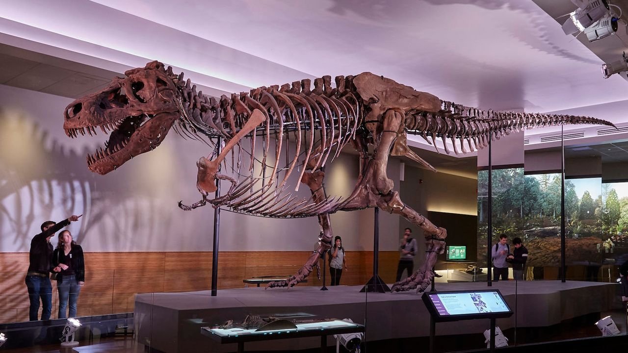 Imagem do Filme T-rex, le roi des dinosaures