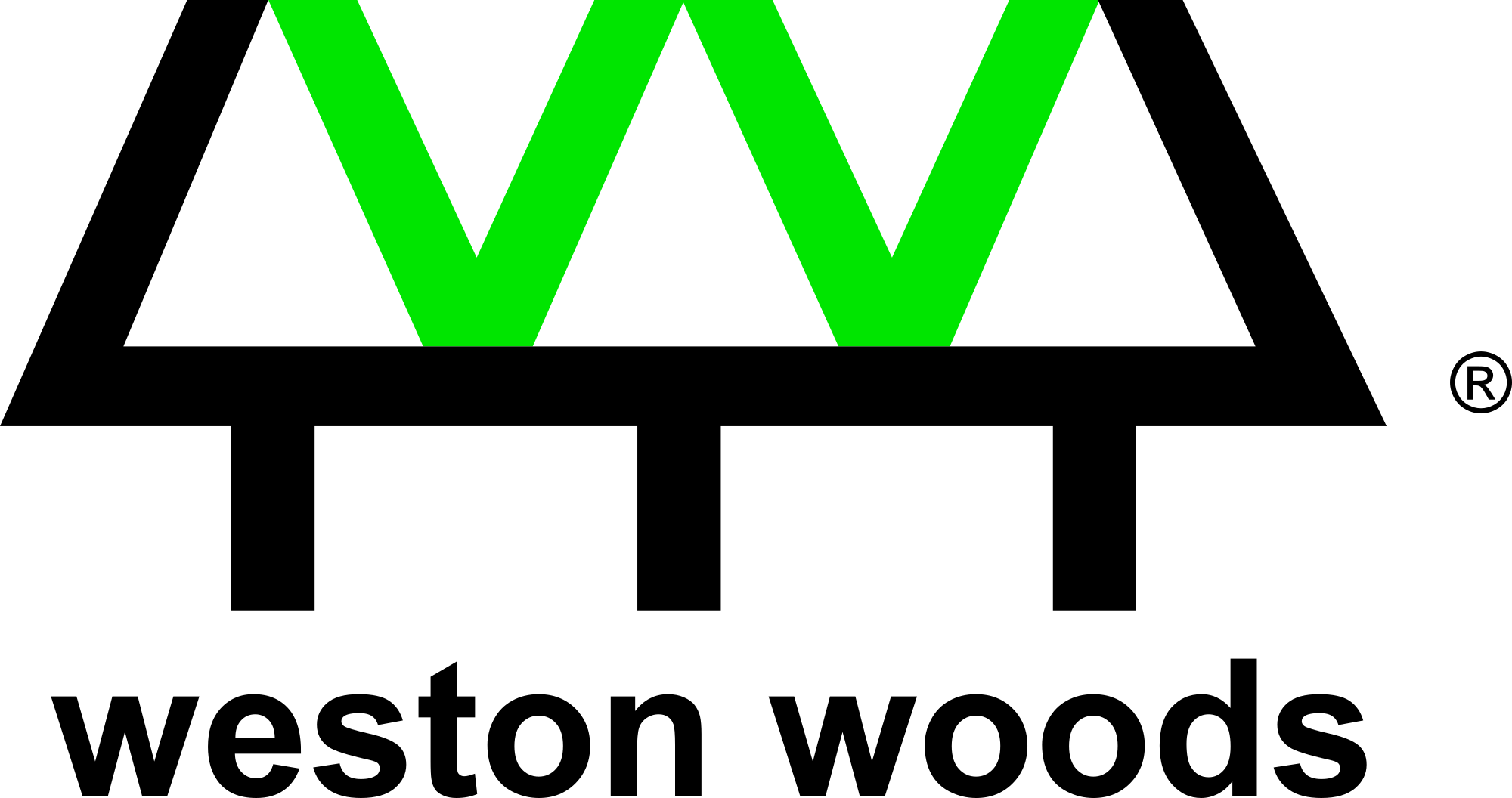 Weston Woods Studios