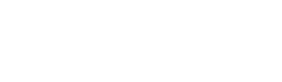 Big Brother