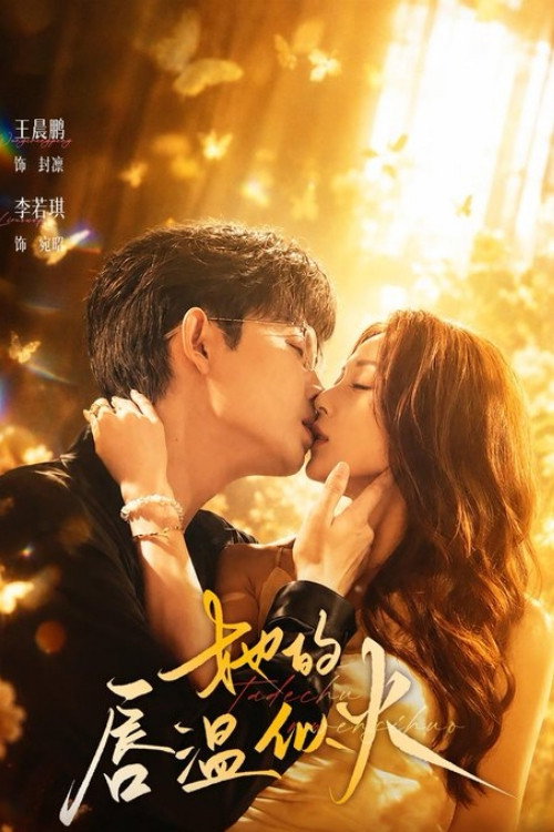 她的唇温似火 Poster