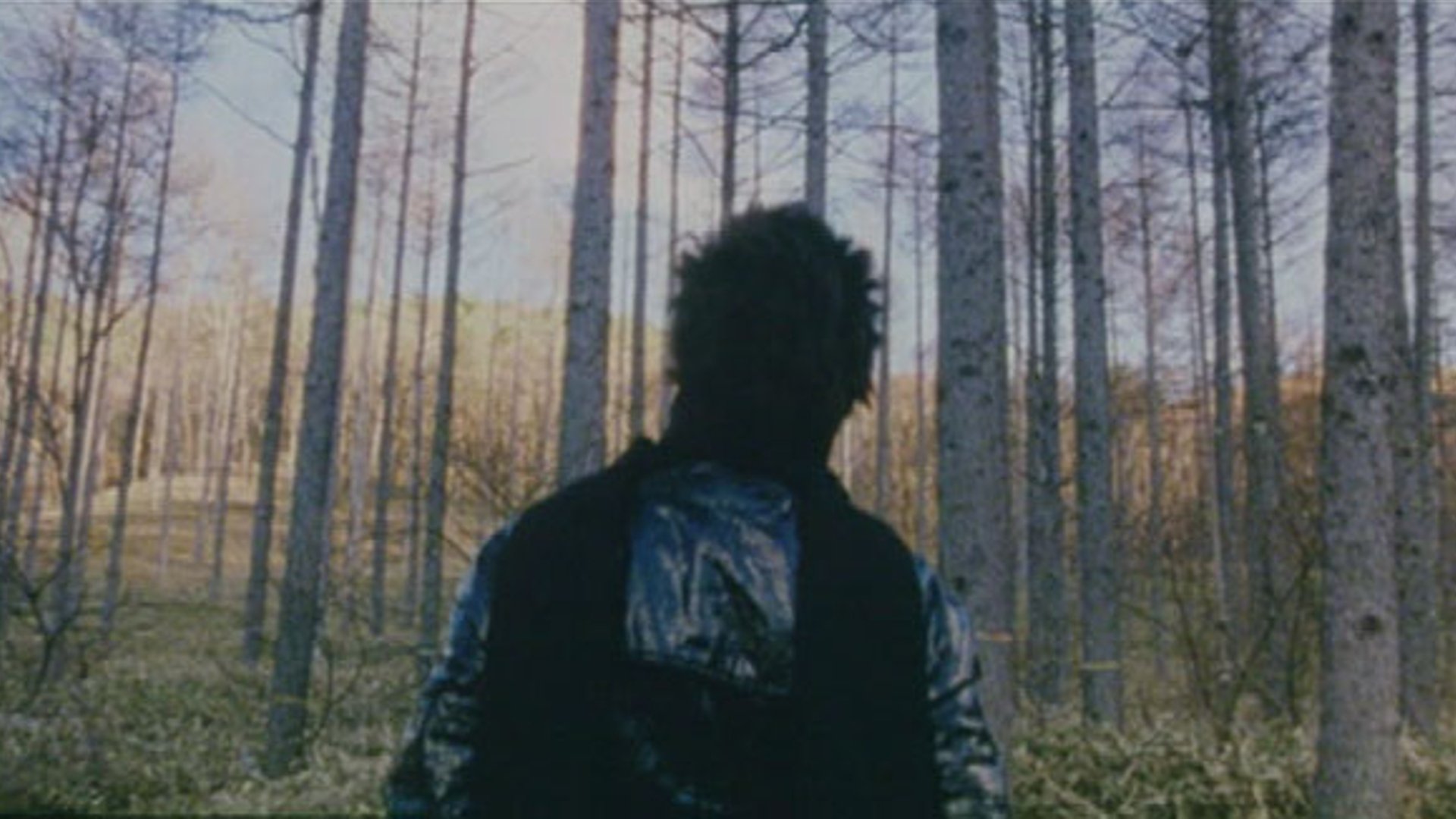 A Forest with No Name (2003)