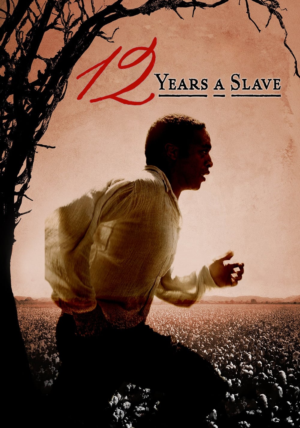 12 Years a Slave Movie poster