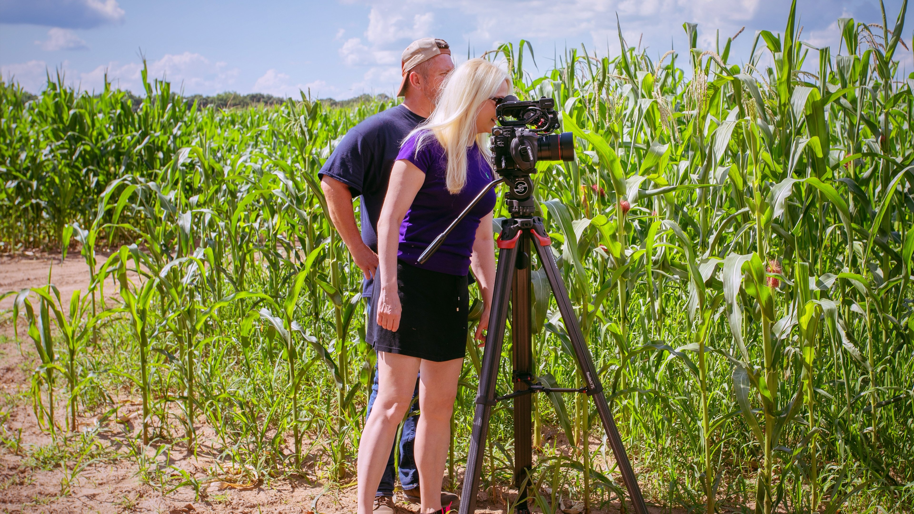 Fields of Gold (2023)