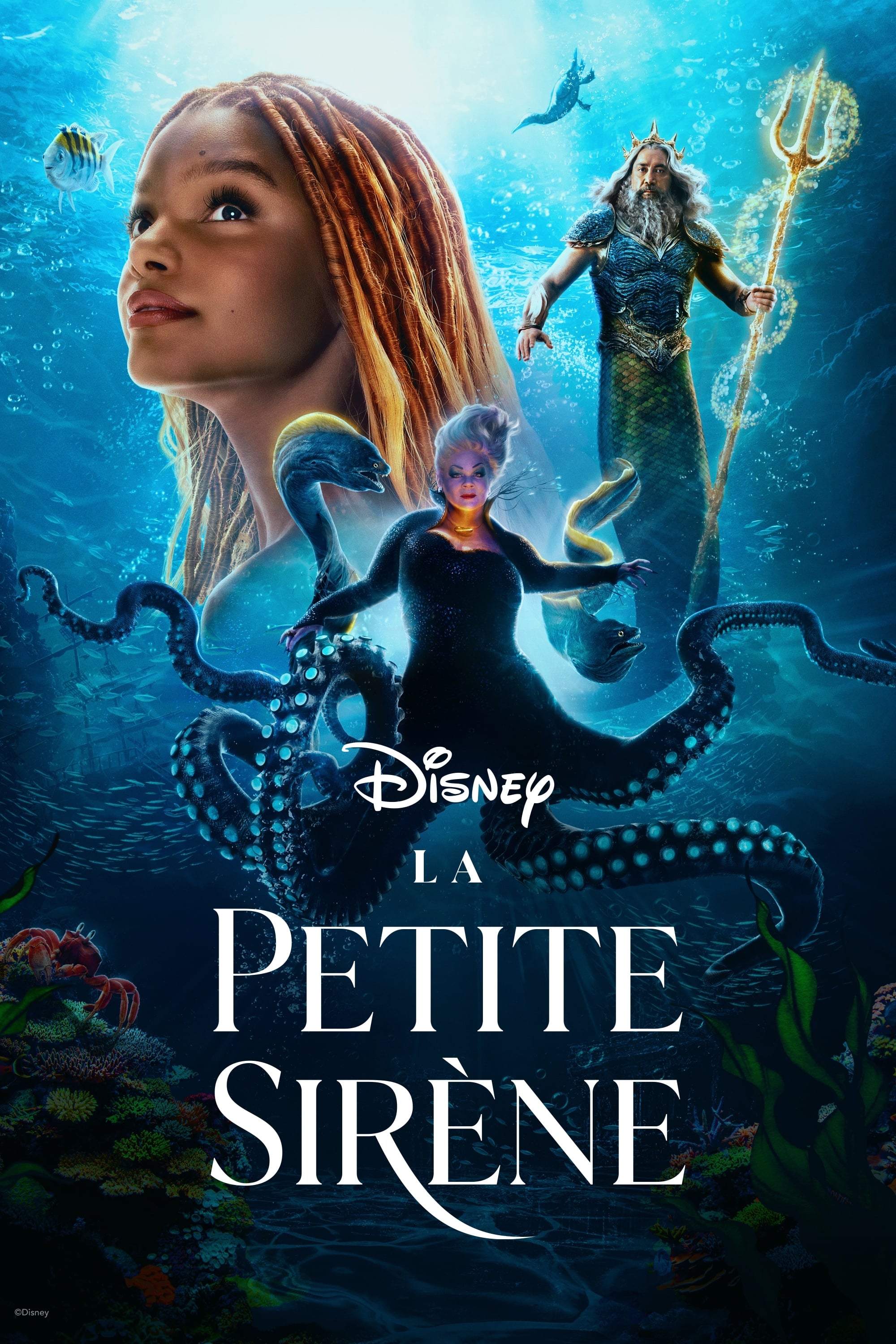 La Petite Sirène (2023) — The Movie Database (TMDB)