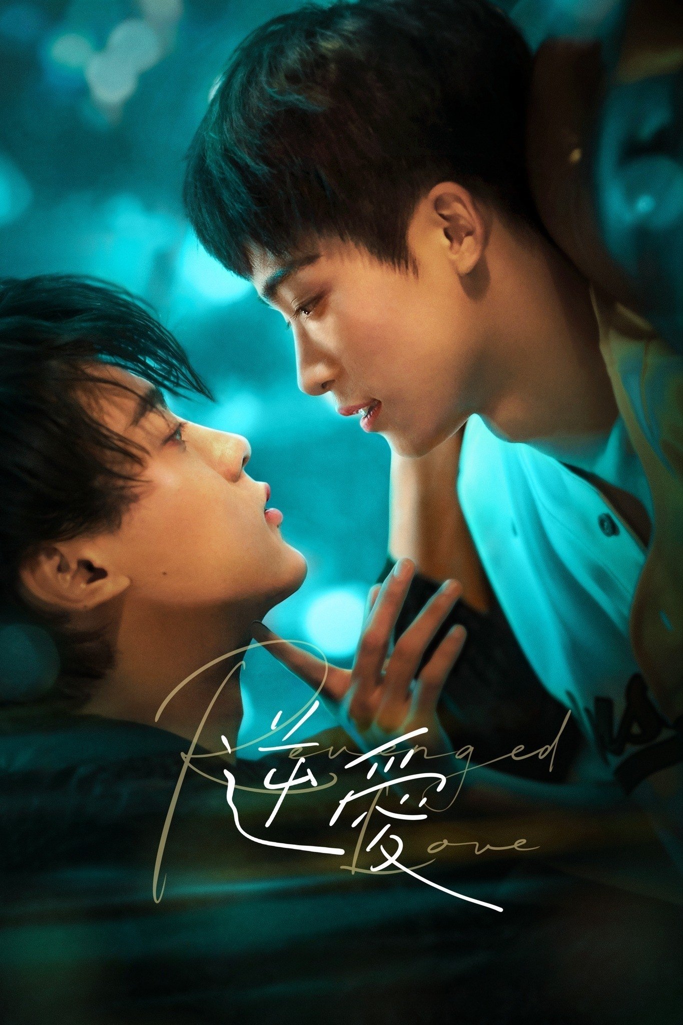 Revenged Love
