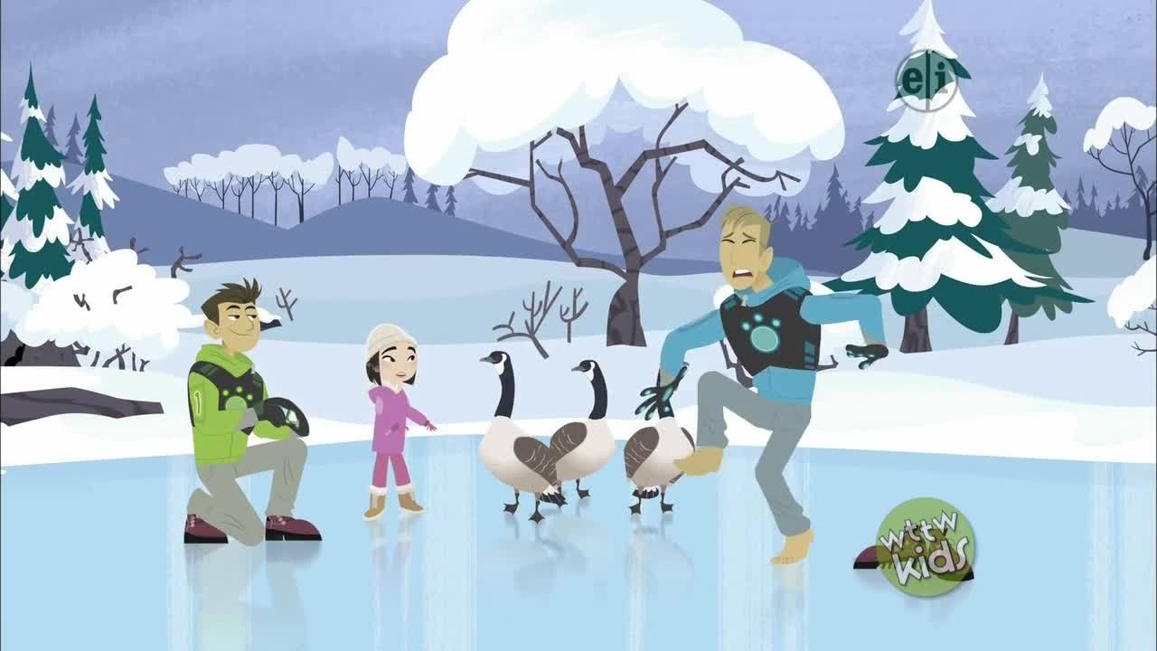 Wild Kratts - Épisode 5
