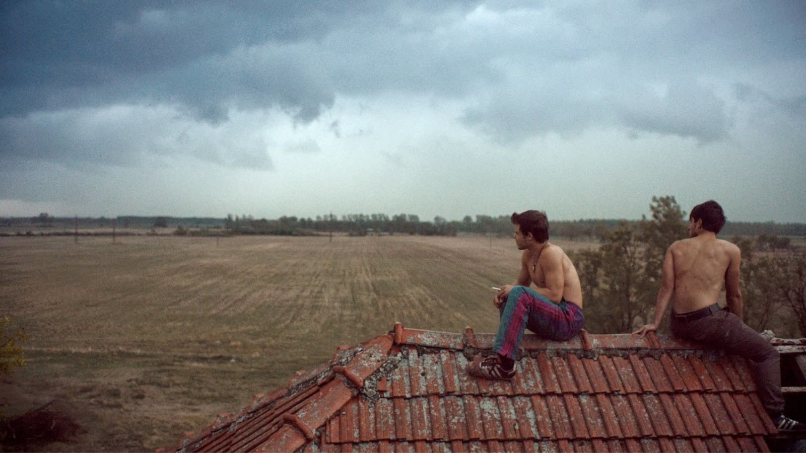 Land of Storms (2014)