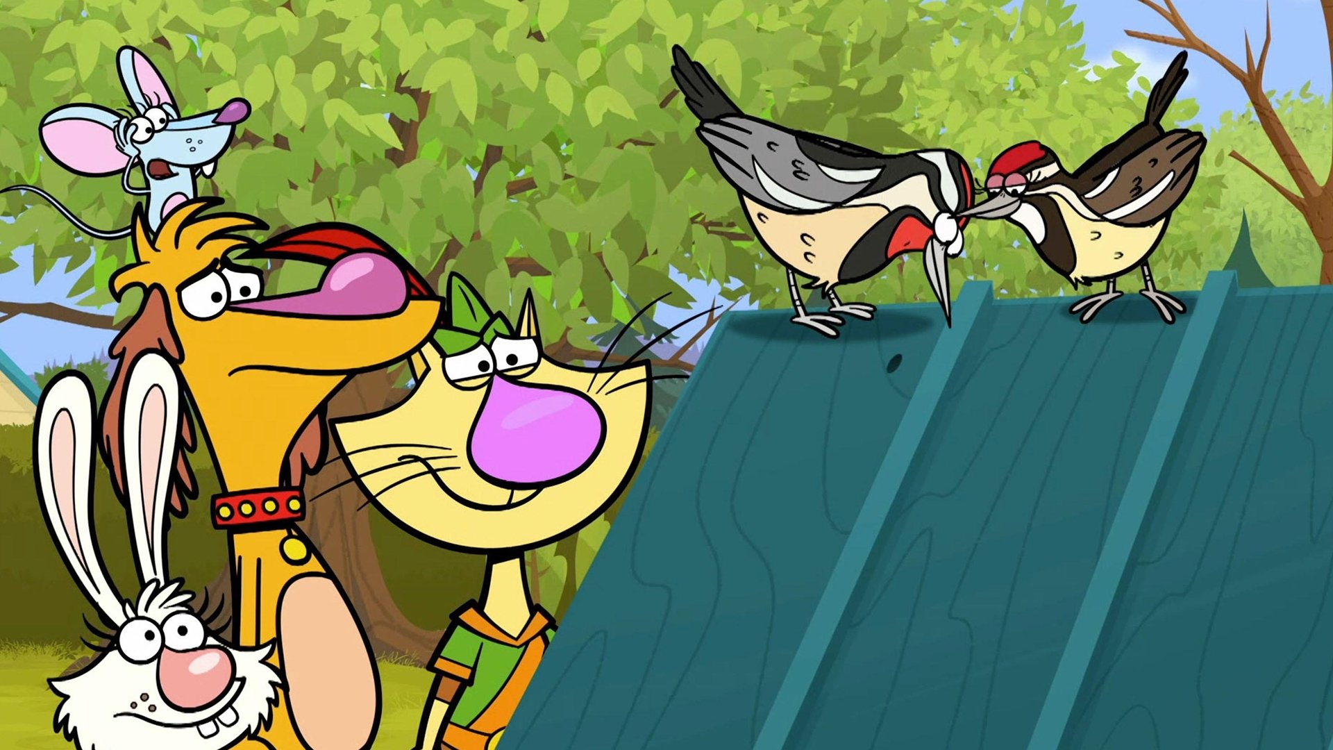 Nature Cat: Season 1 Episode 35. 