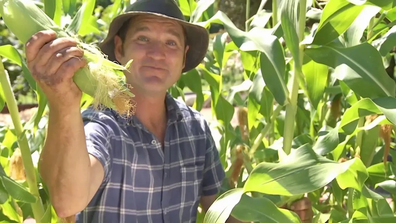 Gardening Australia - Épisode 3