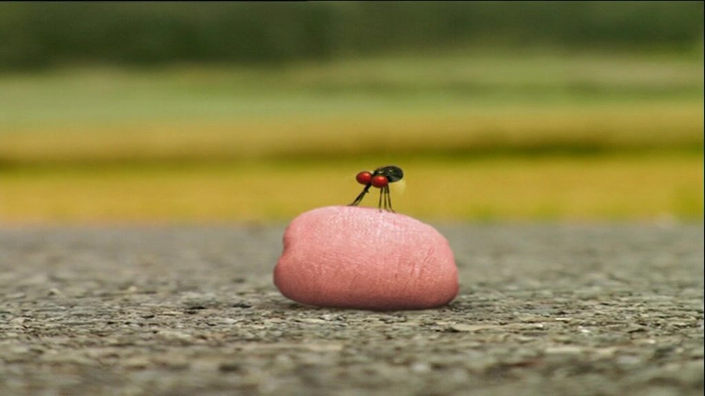 Chewing Gum