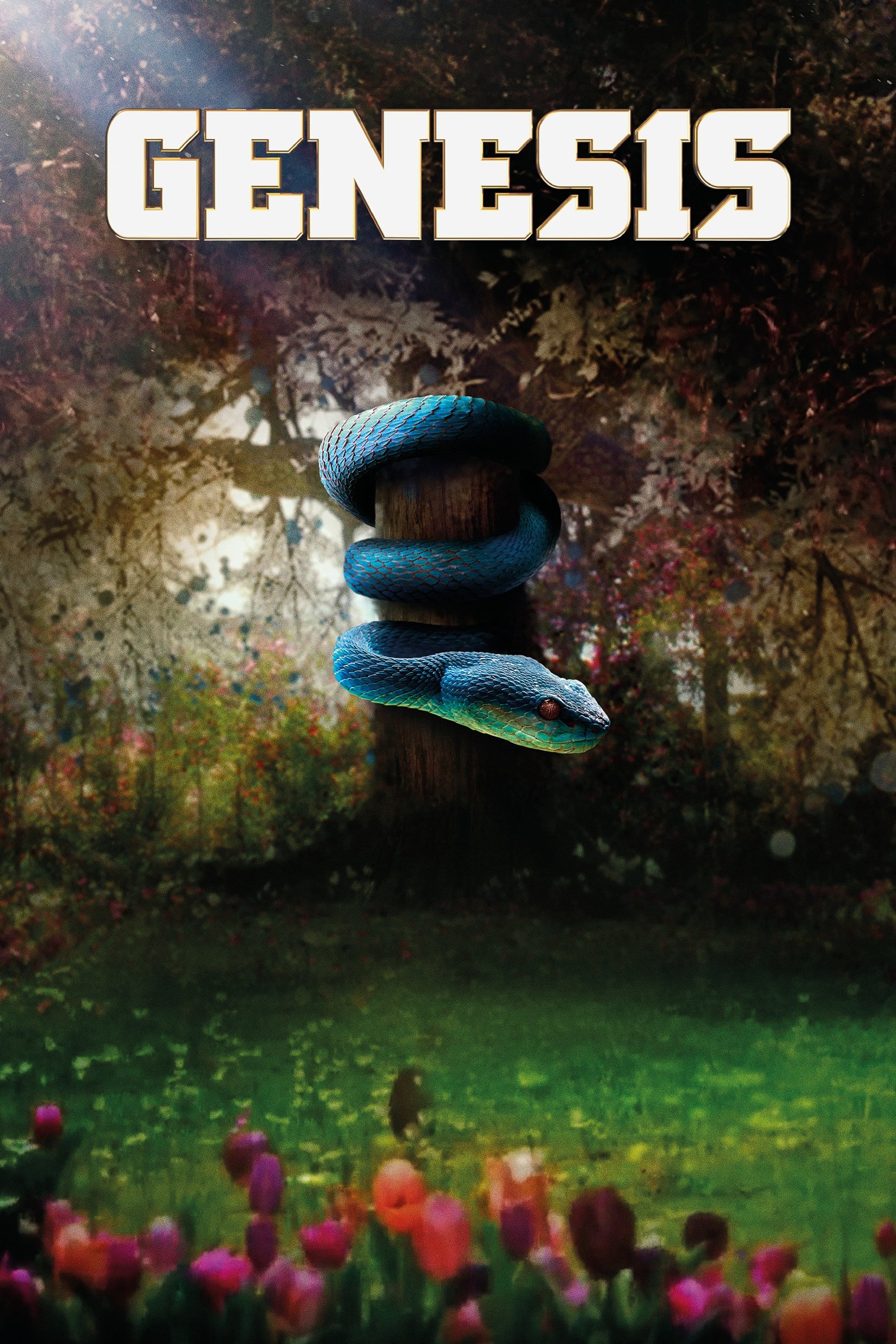 Genesis poster cover
