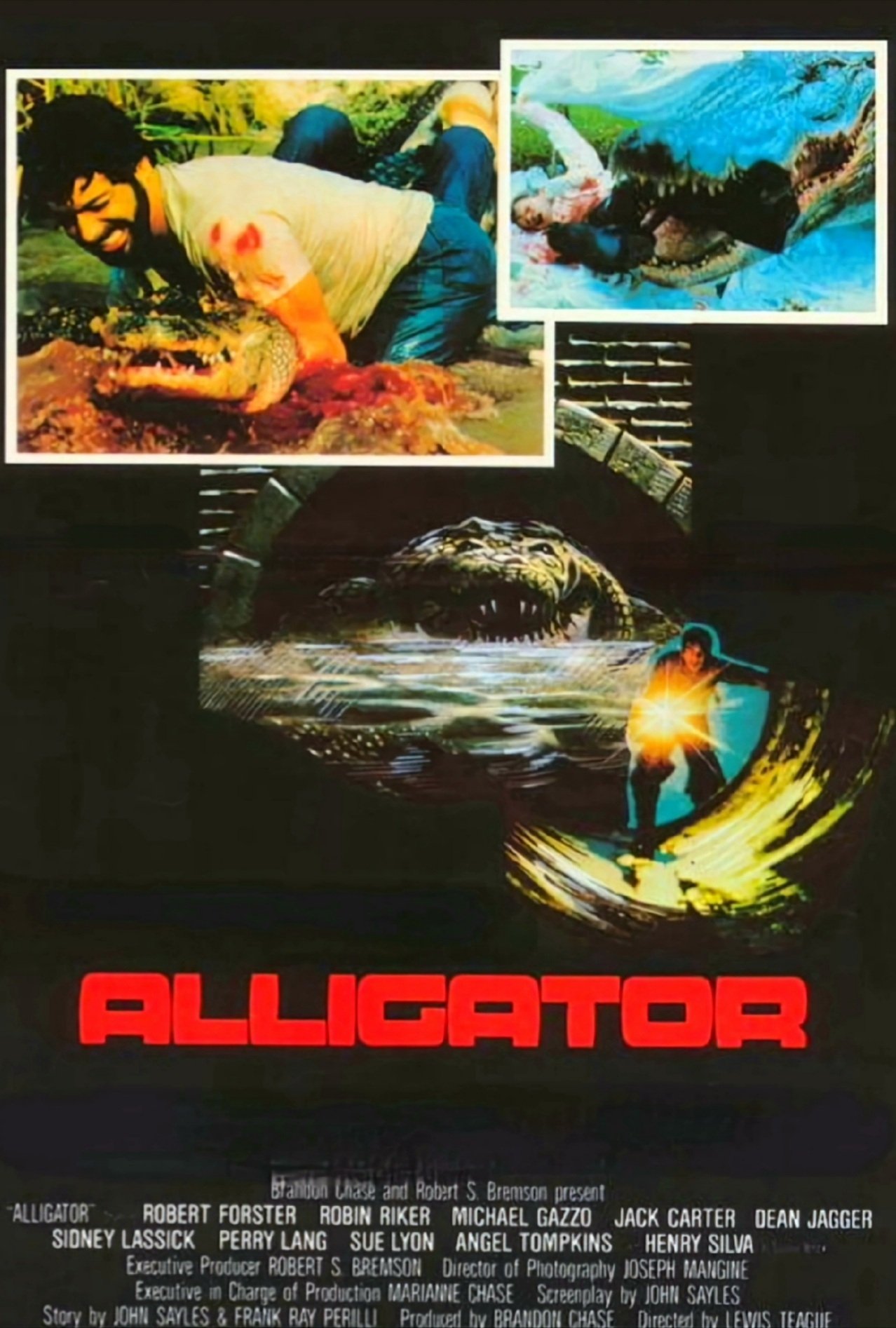 Alligator