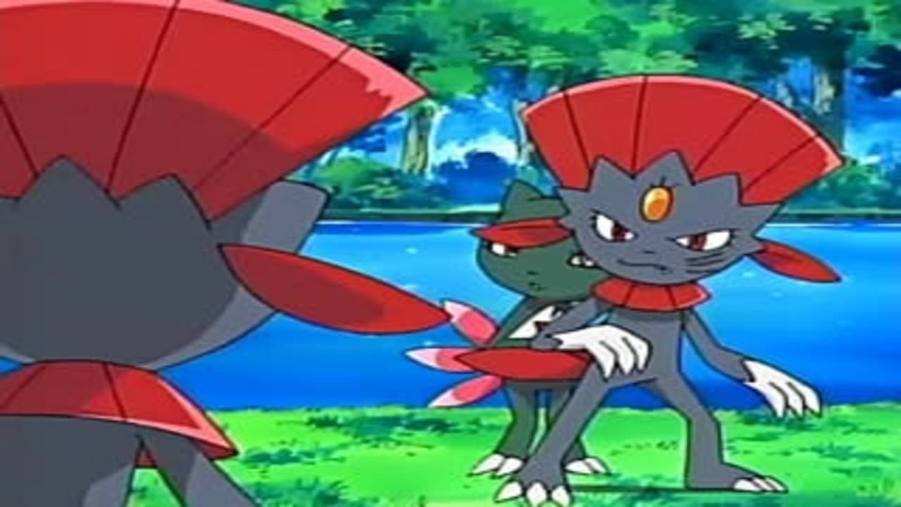 Pokémon Season 9 :Episode 38  Duels of the Jungle!