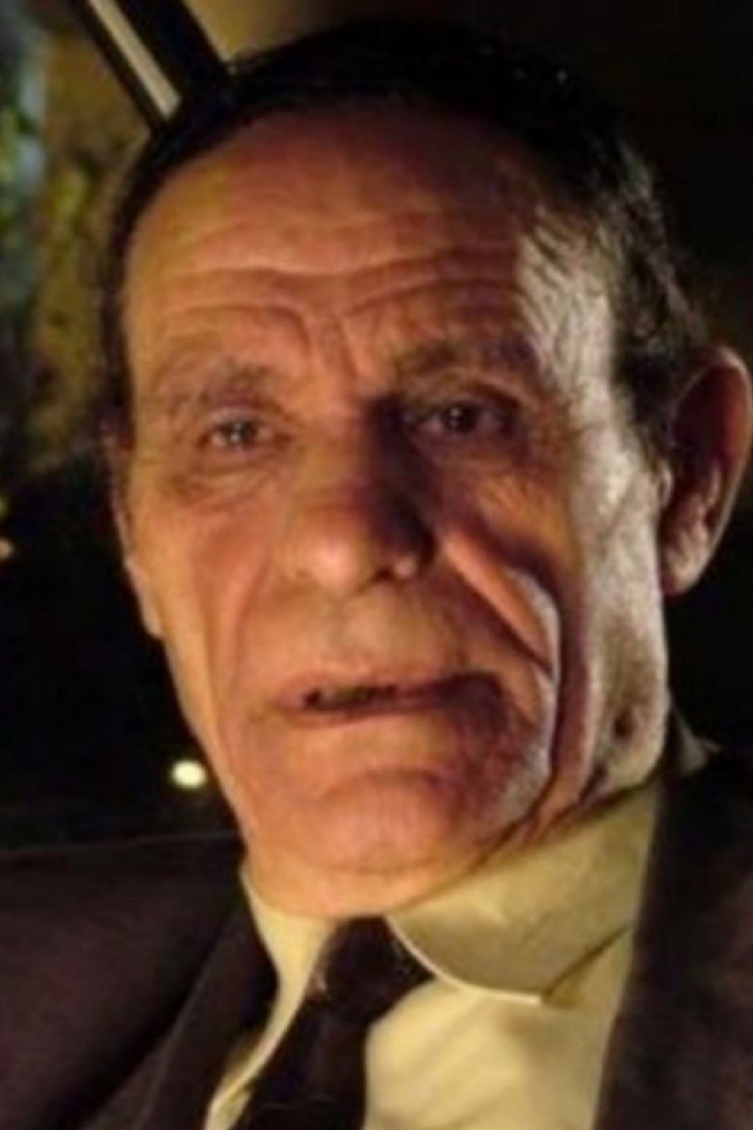 et billede af Metwaly Elwan