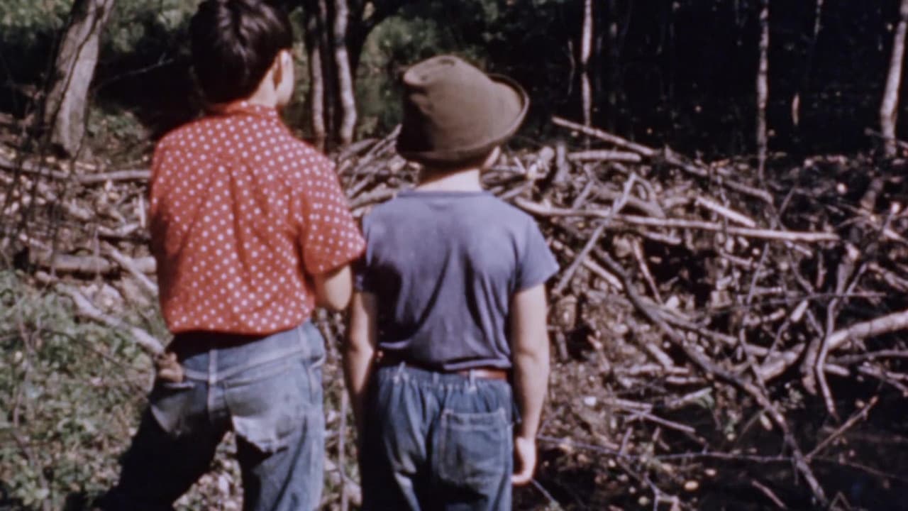 Beaver Dam (1960)