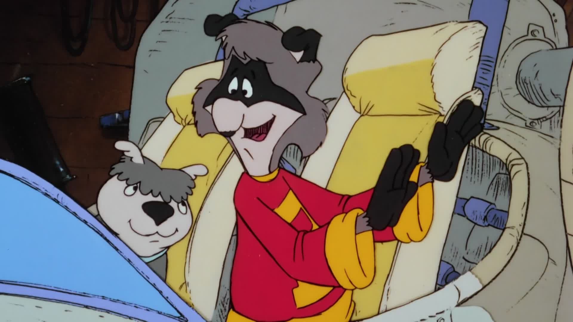 The Raccoons