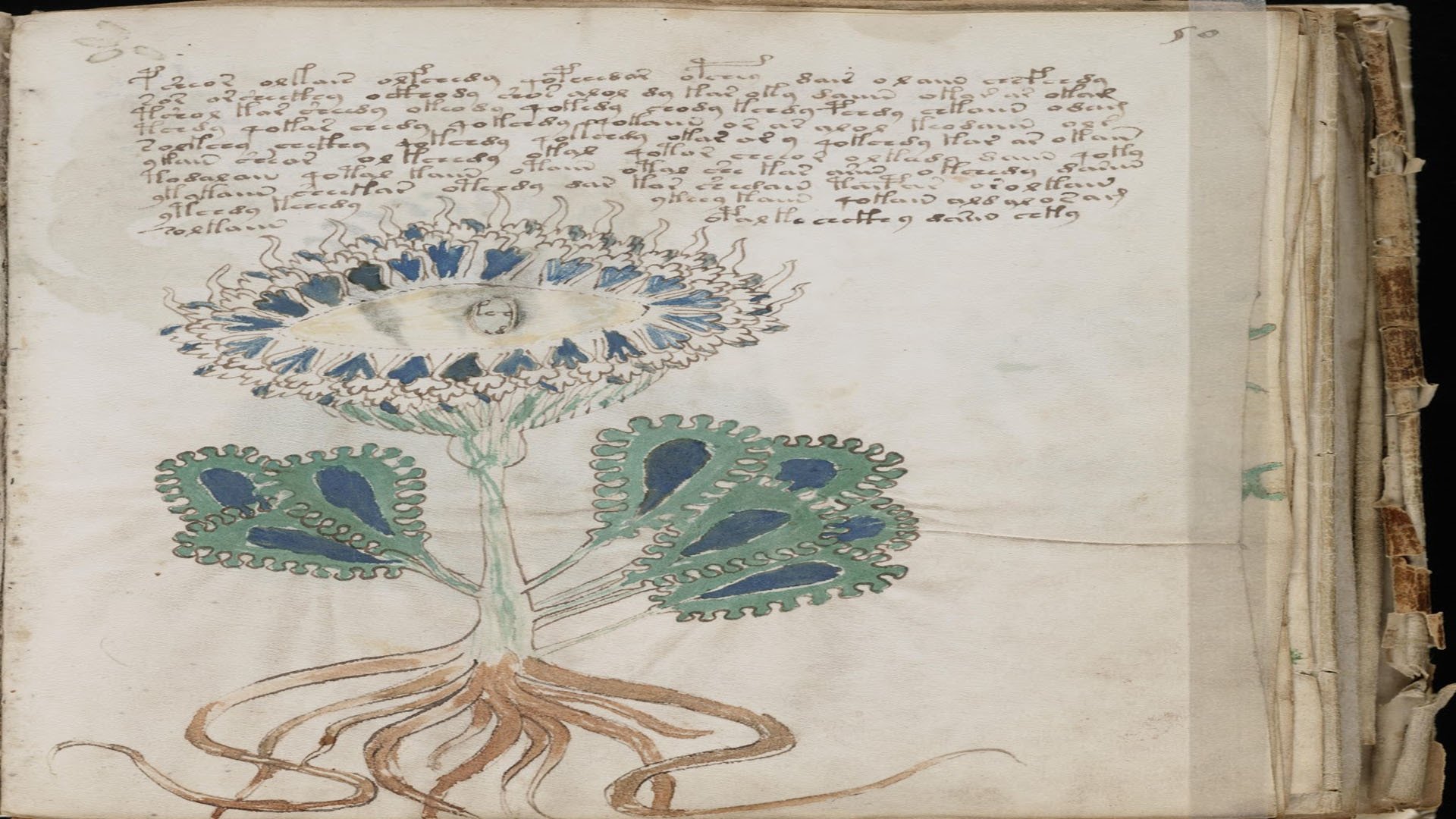Thumbnail for Alien Blood Rain, Carolina Beach Boom & Voynich Manuscript Season 1 Episode 5