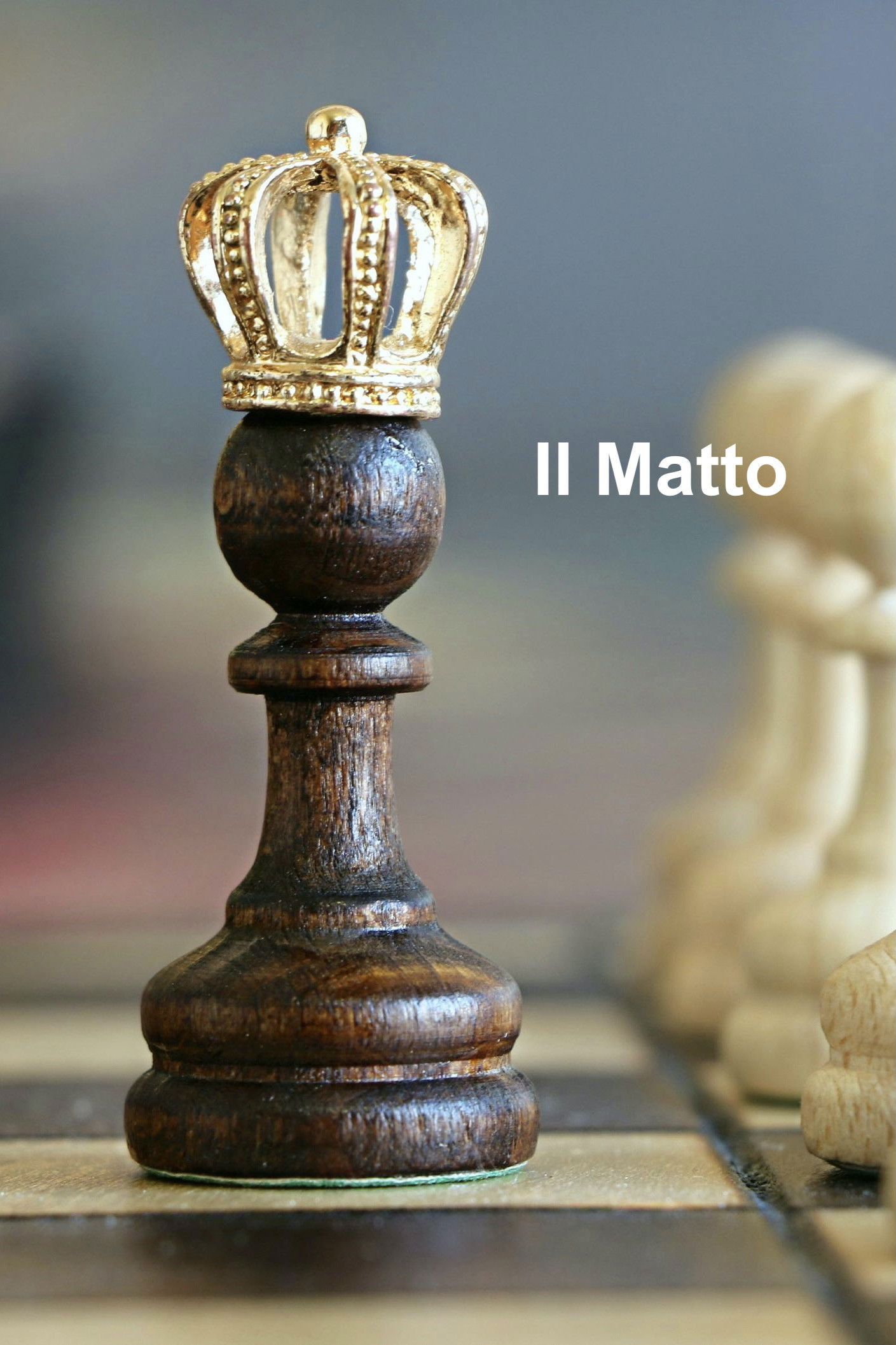 Il Matto
