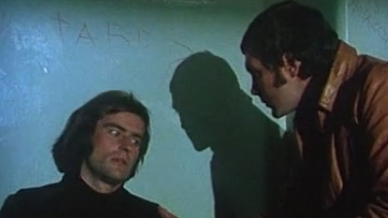 The Professionals