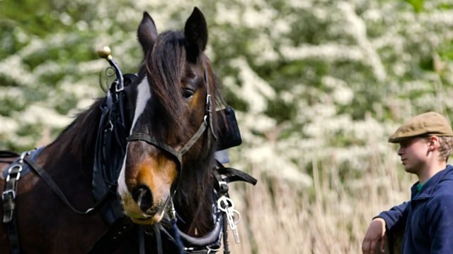 Countryfile 33x21