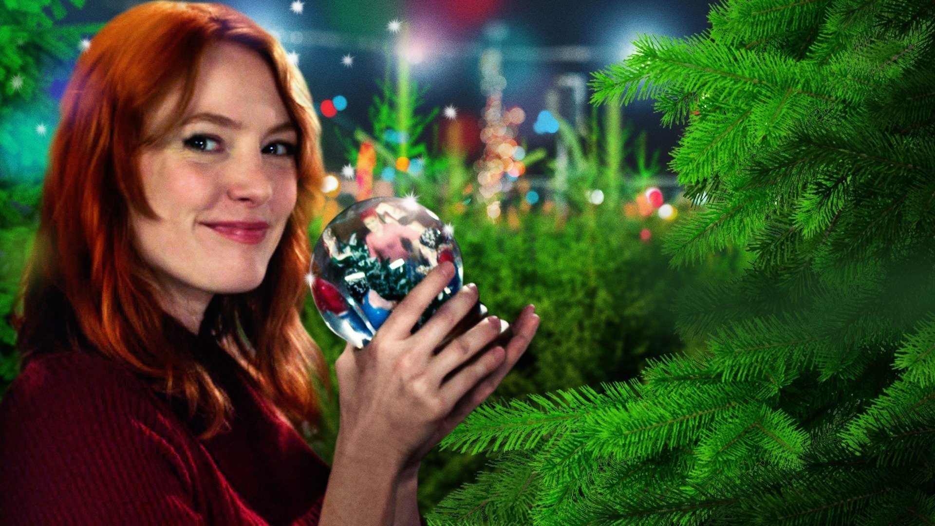 A Snow Globe Christmas