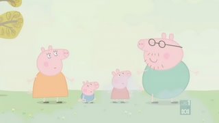 Peppa Pig Season 2 :Episode 18  Foggy Day