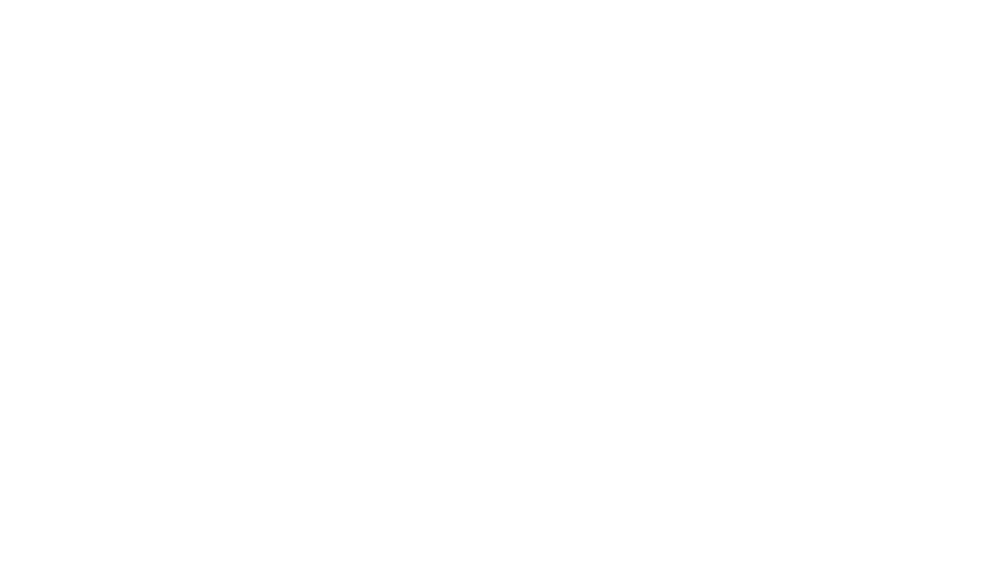 Born in Syria Logo