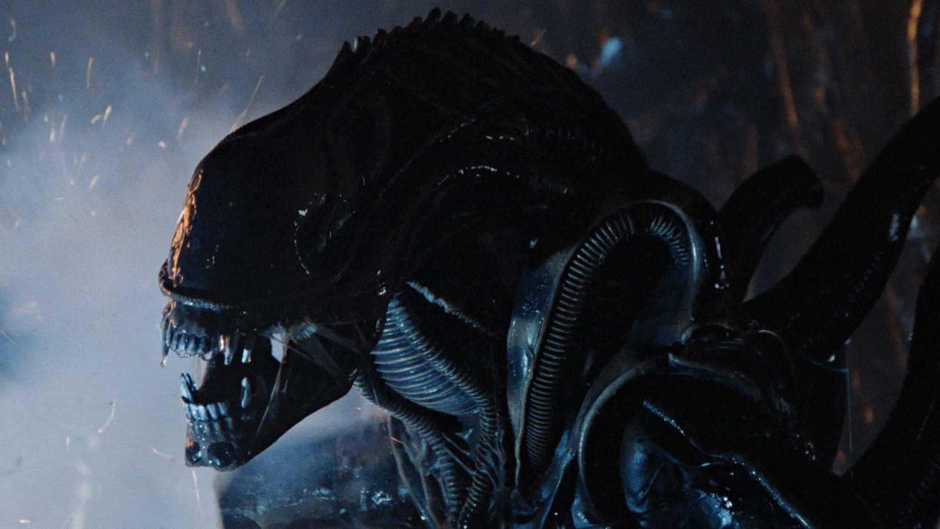 Aliens, le retour