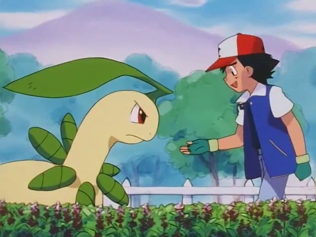 Pokémon Season 4 :Episode 43  Turning Over a New Bayleef