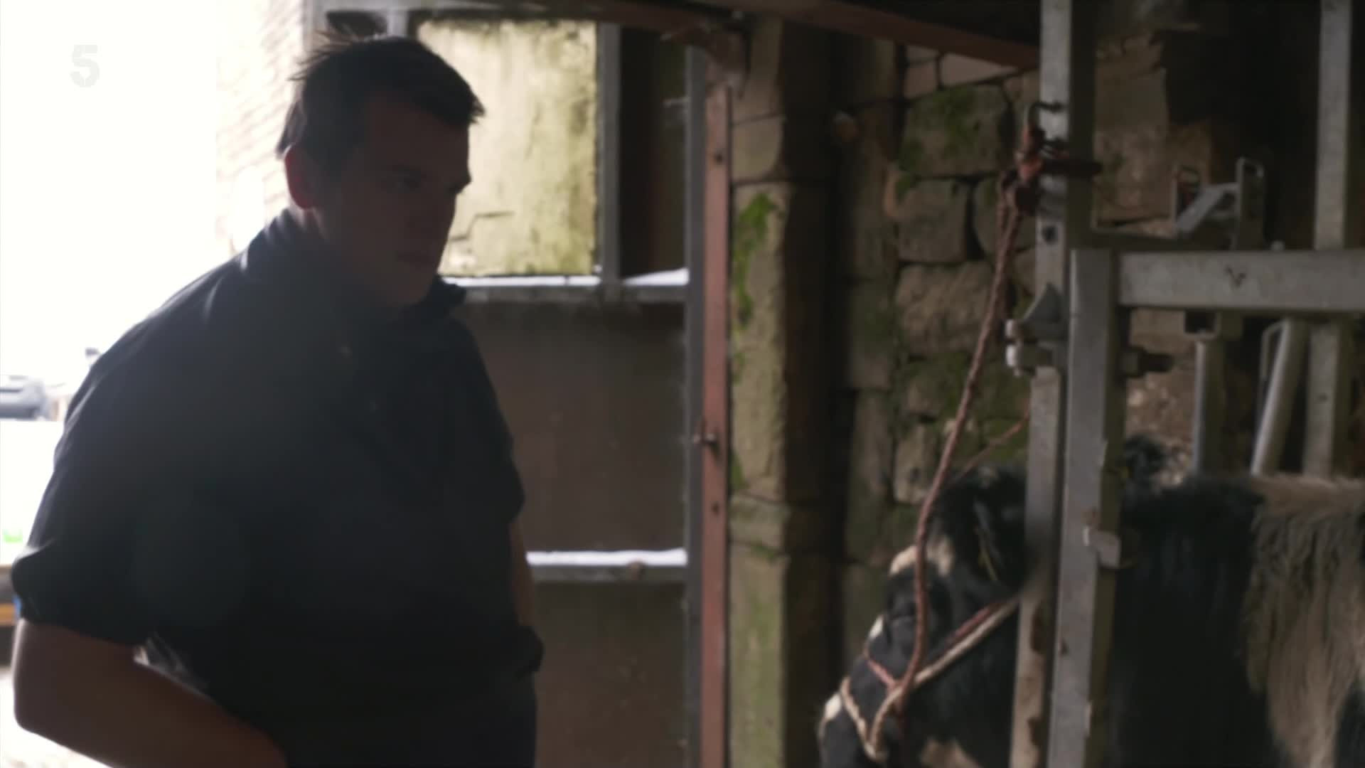 The Yorkshire Vet S13E07 backdrop