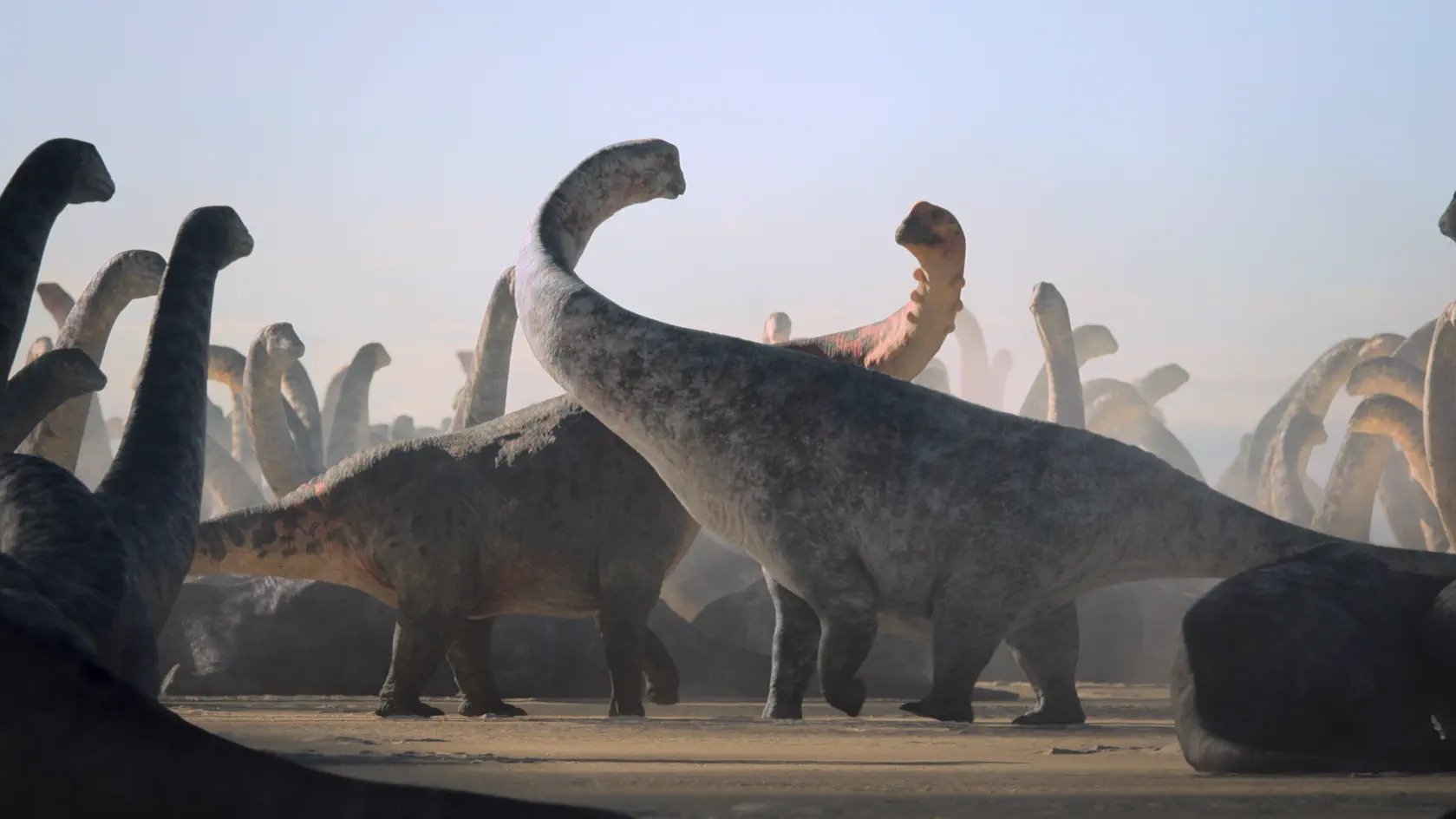 Welcome to Their World