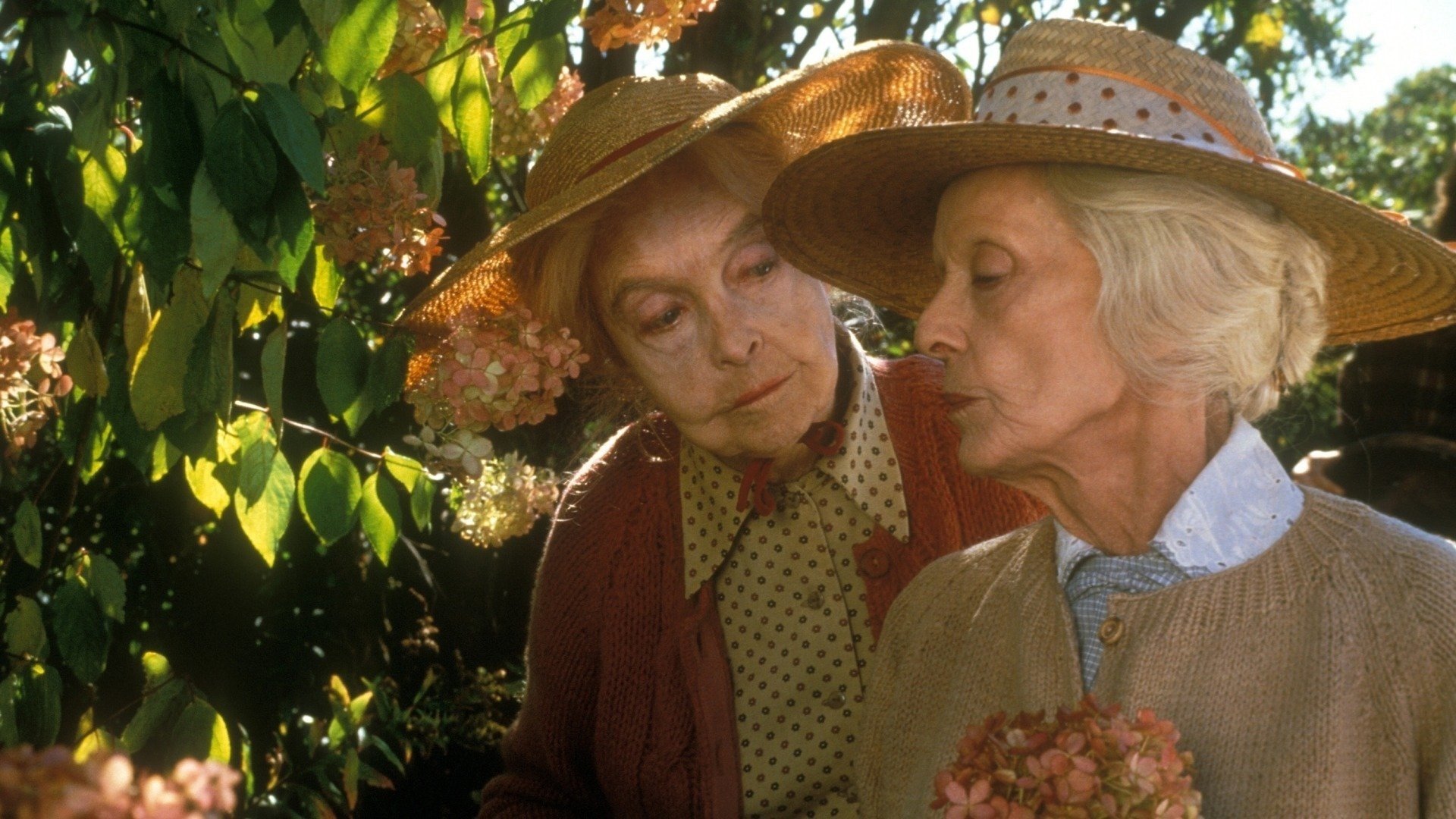 The Whales of August (1987)