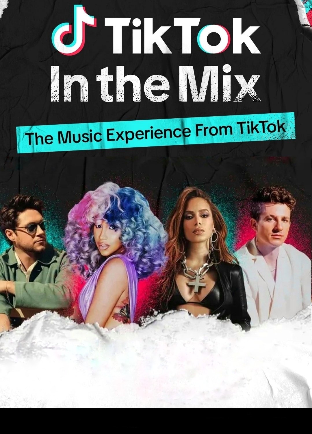 TikTok: In the Mix