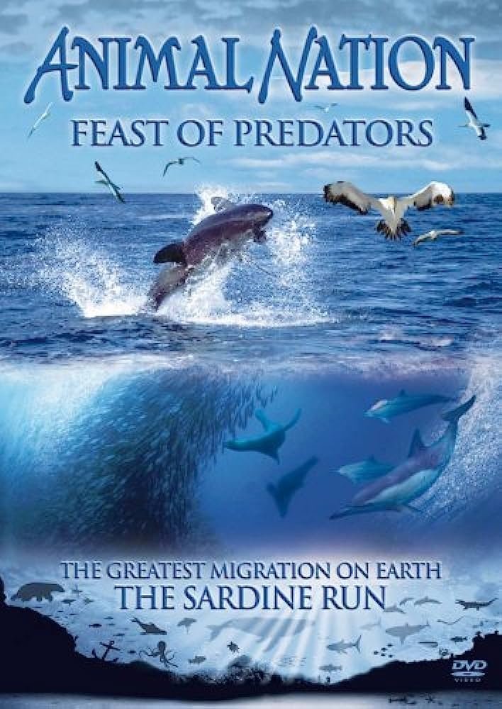 Feast of Predators