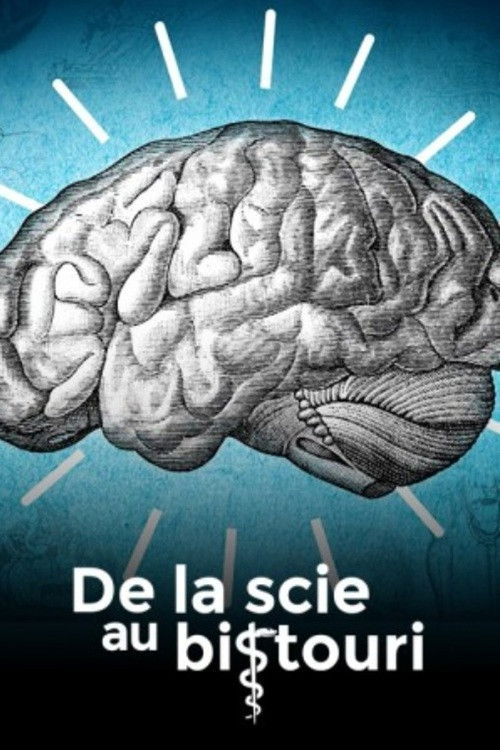 From Handsaw to Scalpel - Season 3