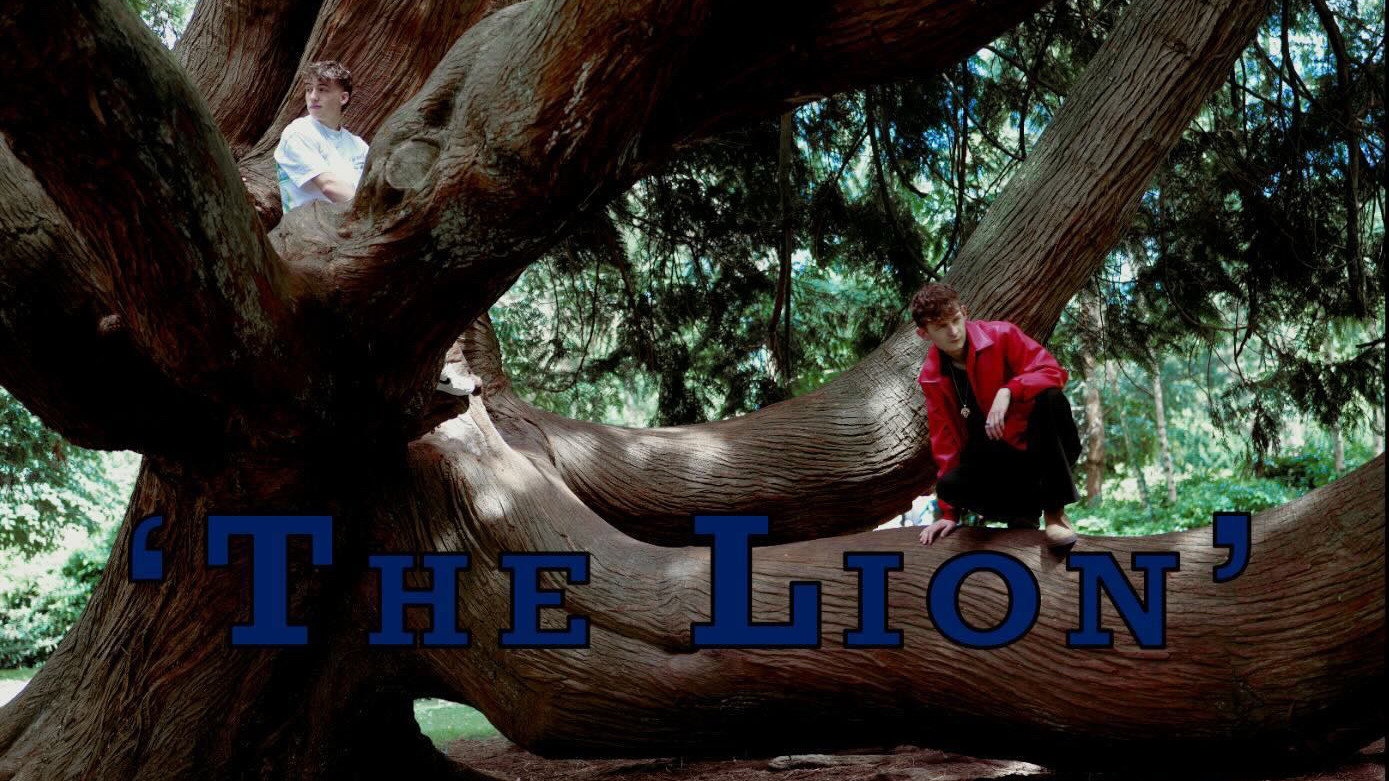 The Lion