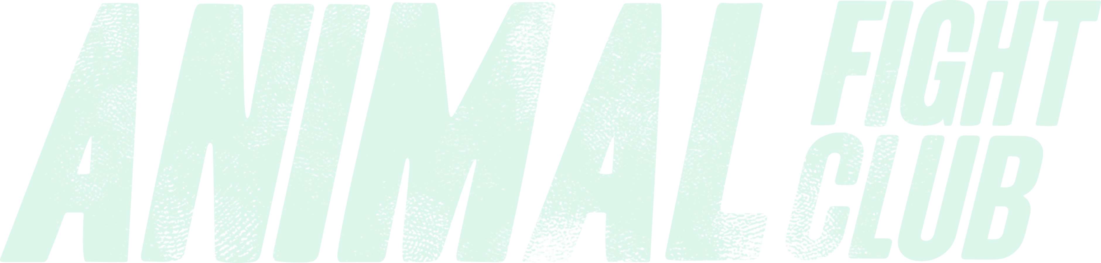 Animal Fight Night Logo