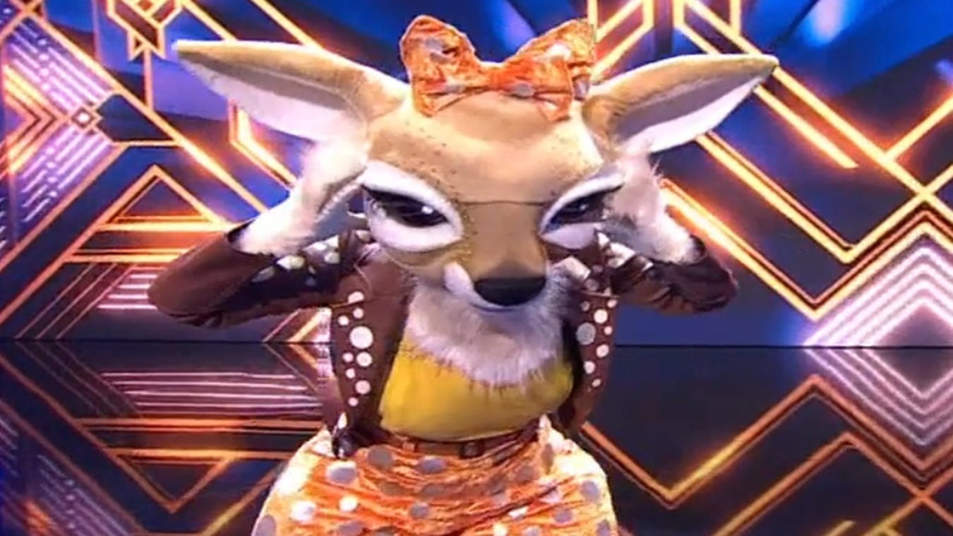 The Masked Singer Netherlands