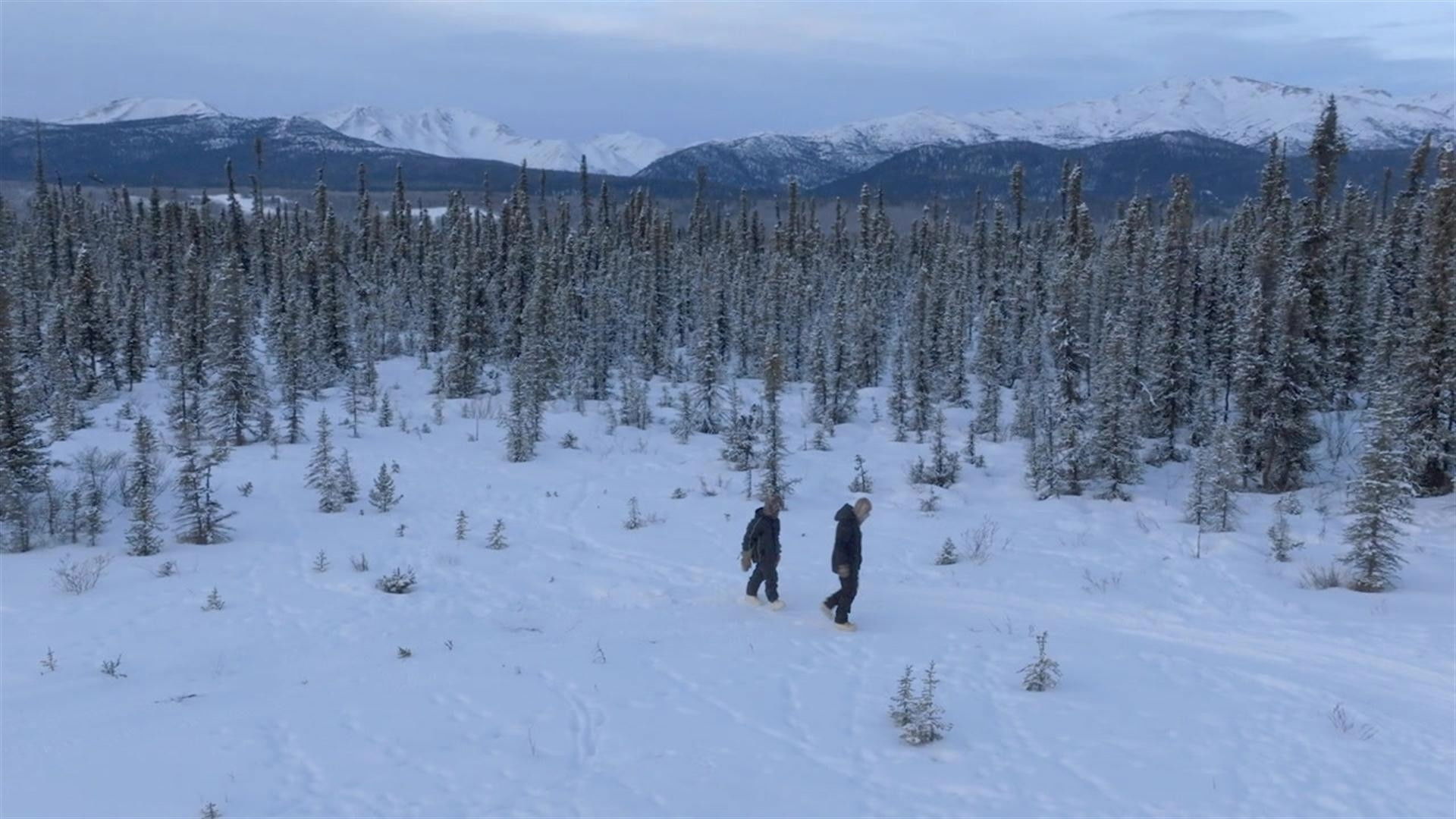 Life Below Zero: Next Generation S06E08 backdrop