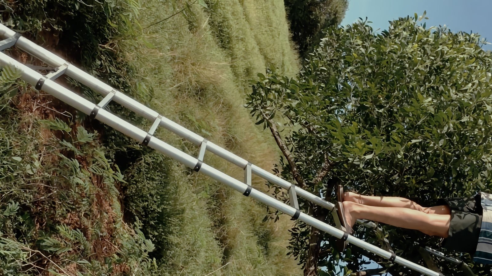 Imagem do Filme Rotasi