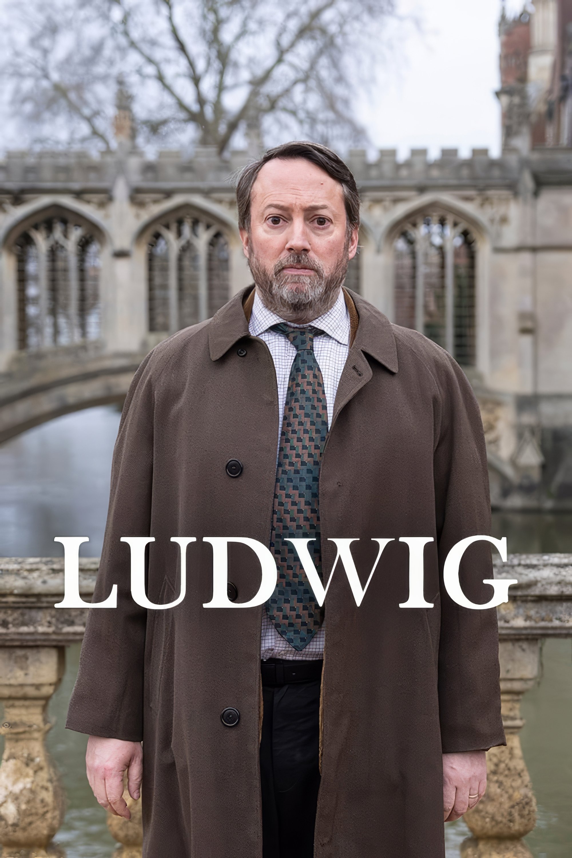 Ludwig (TV Series 2024 ) Posters — The Movie Database (TMDB)