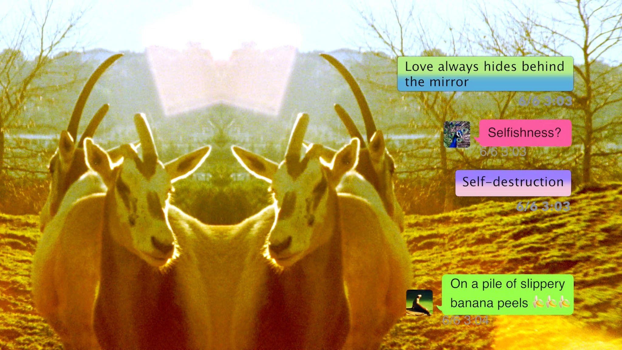 Imagem do Filme New Acid