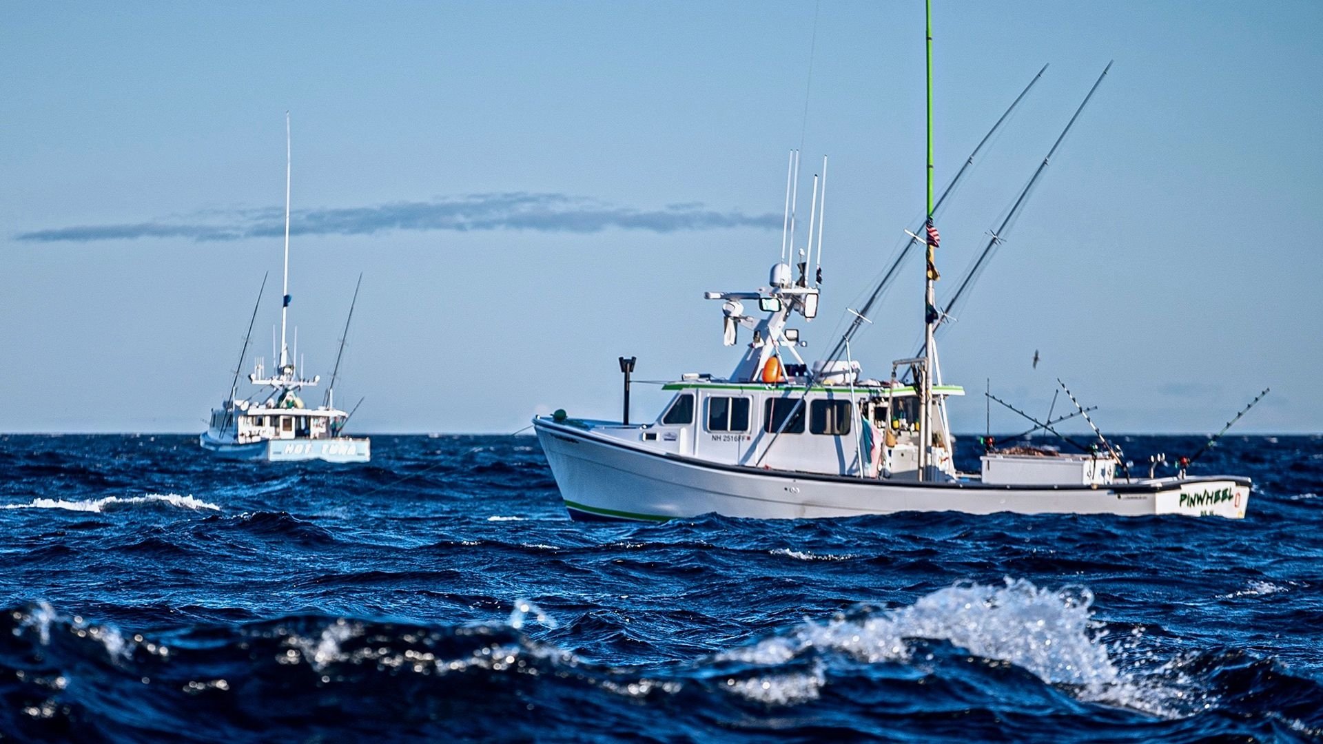 Wicked Tuna