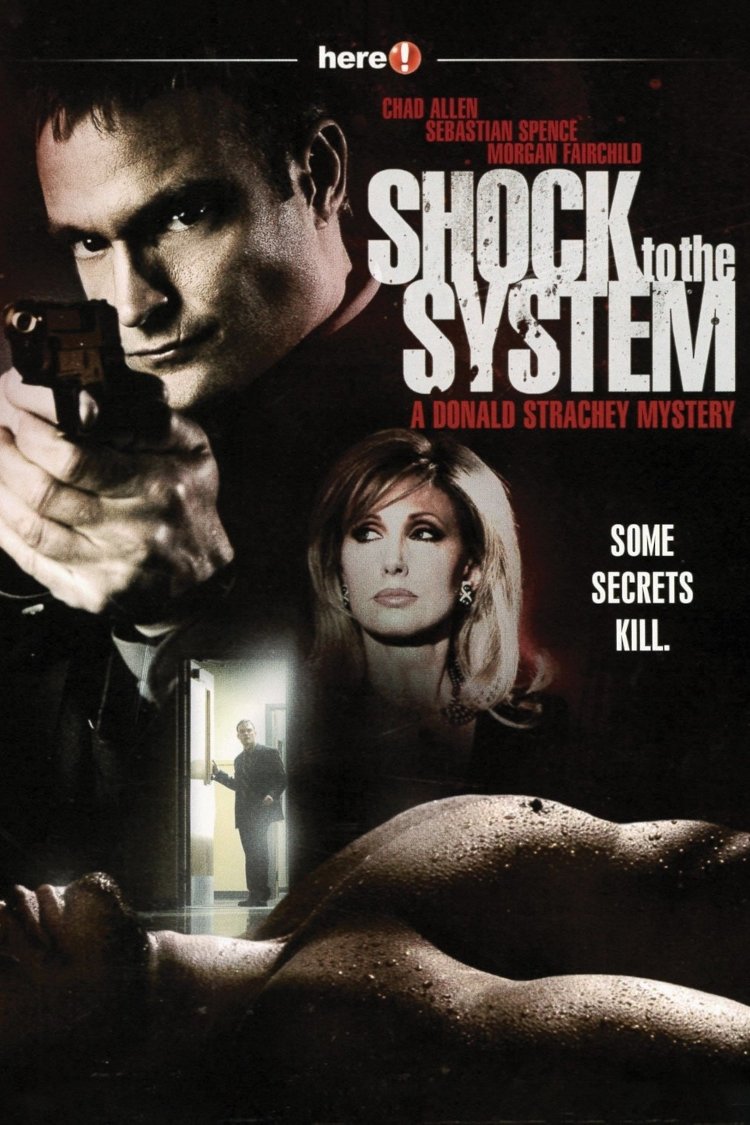 Shock to the System: A Donald Strachey Mystery