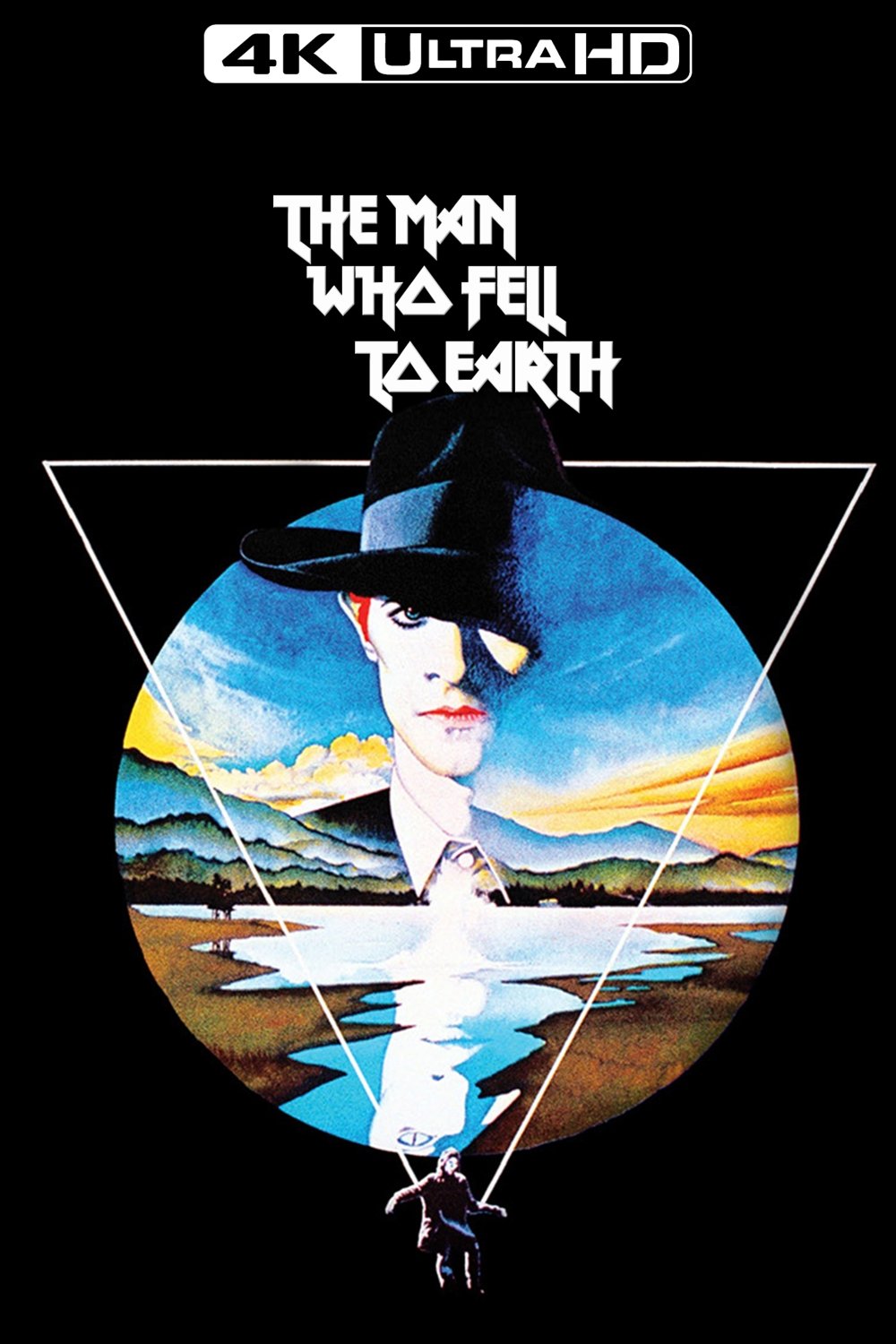 The Man Who Fell to Earth