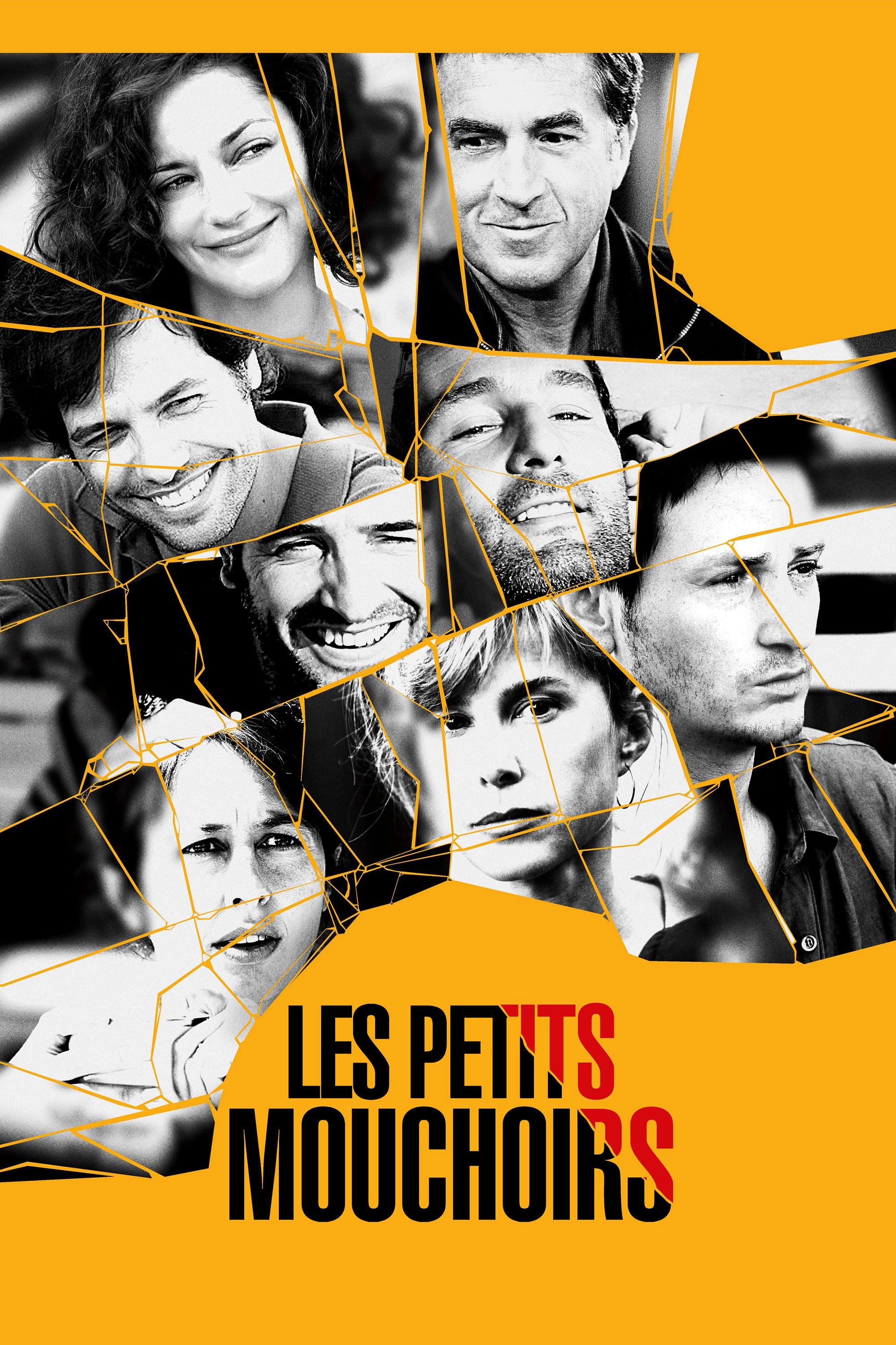 Affiche de Les Petits Mouchoirs