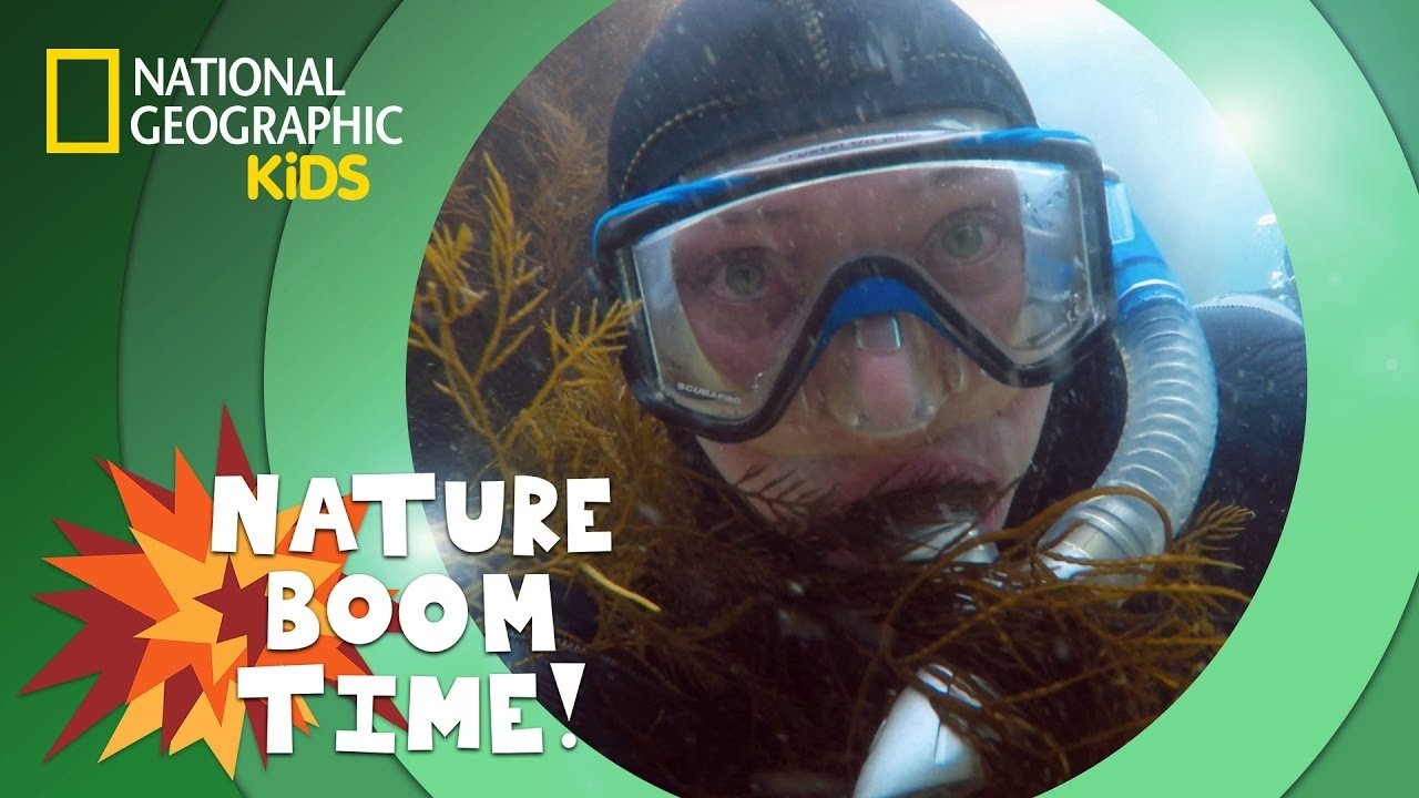 Thumbnail for Kelp Forest Season 1 Episode 5
