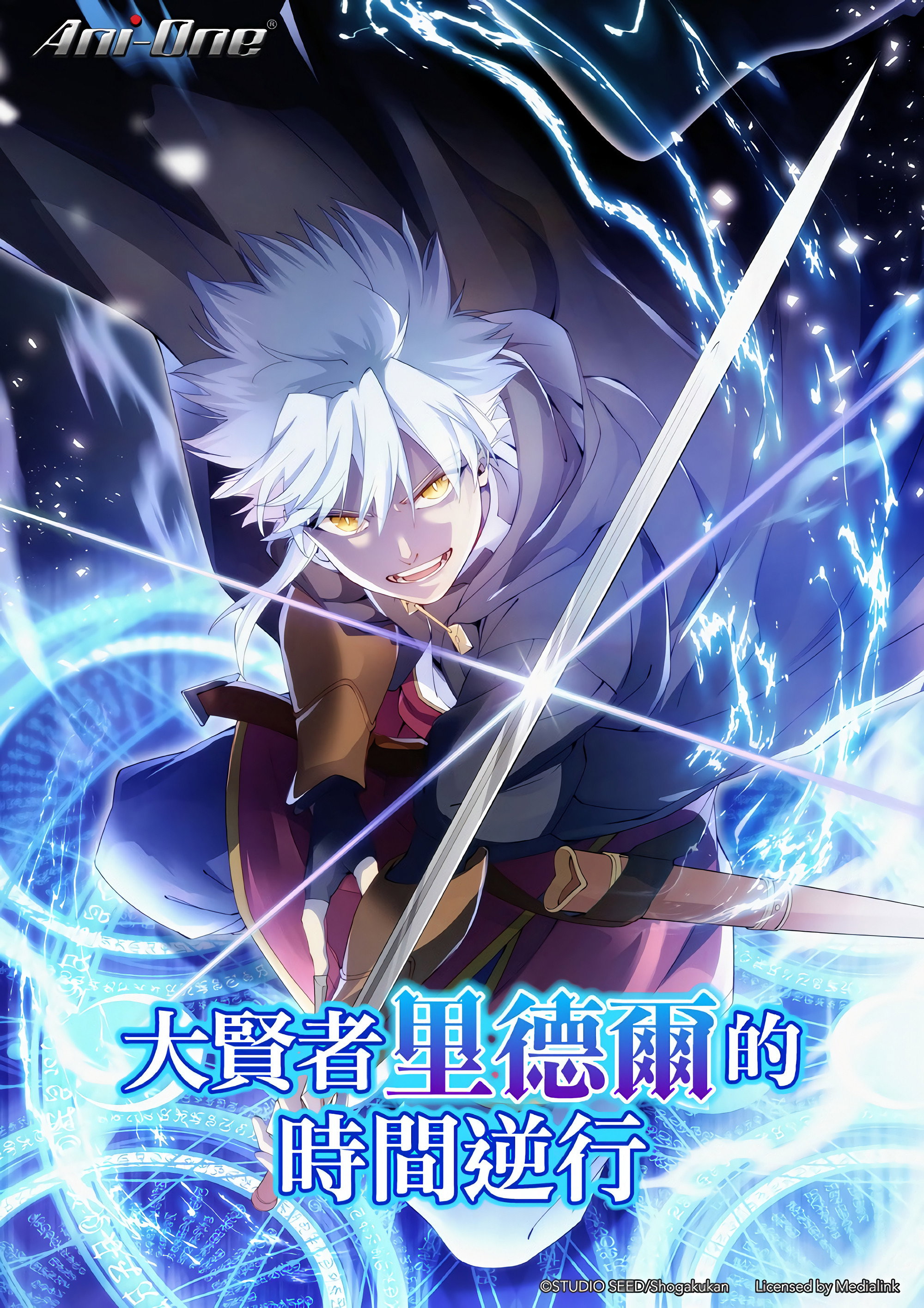 The Regression of Great Sage Riddle - Season 1